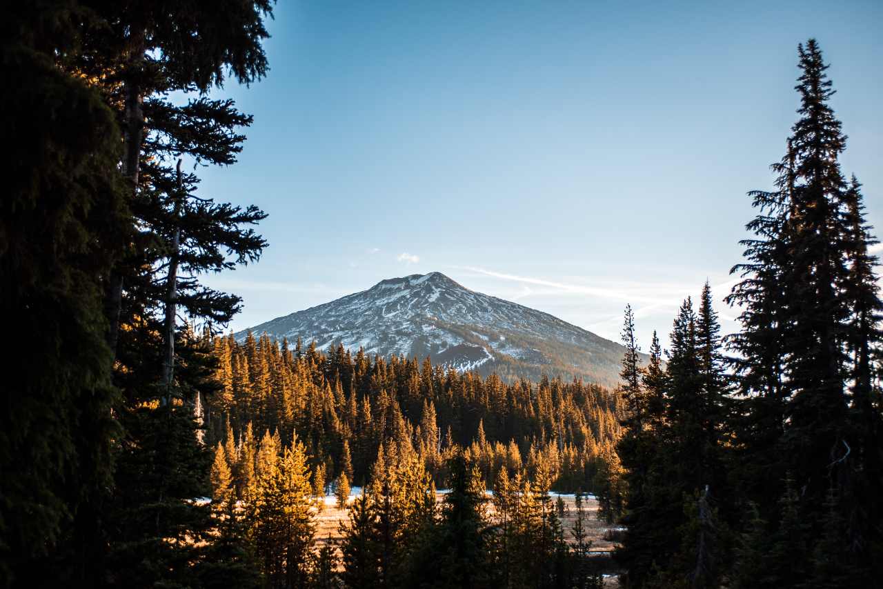 High paying PRN Jobs In Bend PRN Jobs In Bend For RNs LPNs And CNAs